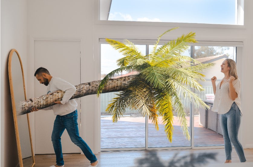 A beginners guide to adding a mirror to your home
